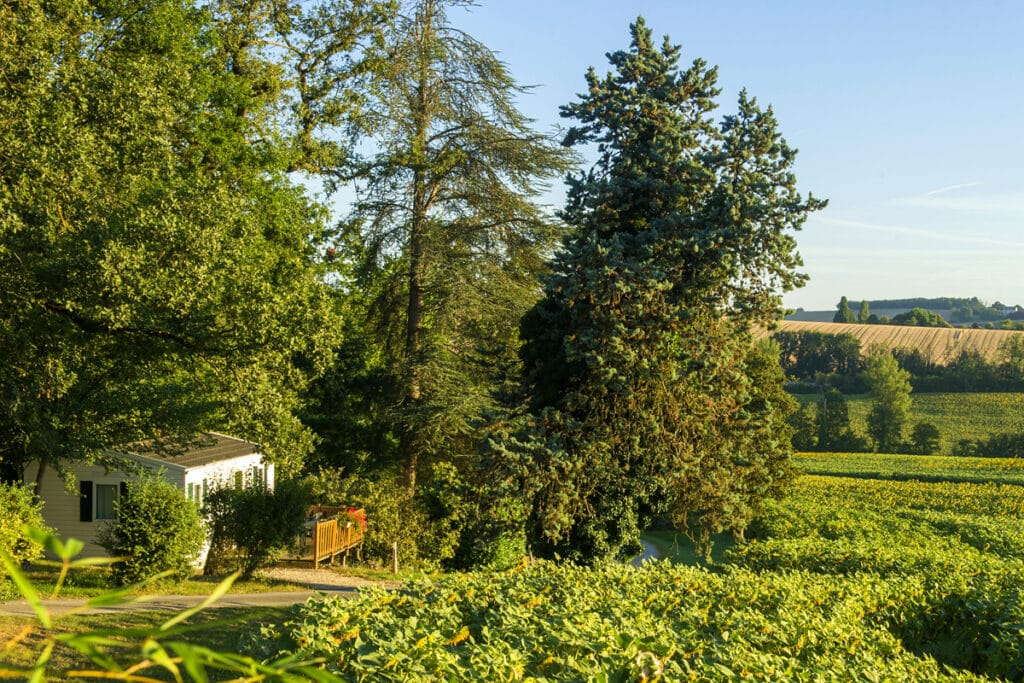 Domaine Aramis — photo 2